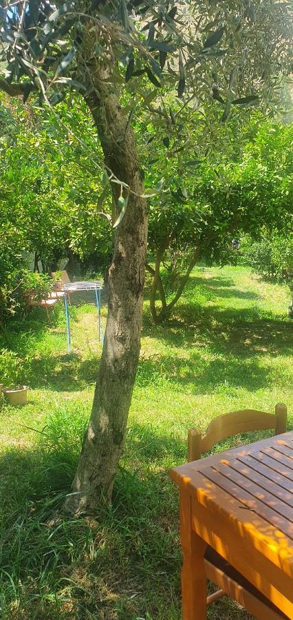 Xho'S Forest Guest House بيرات المظهر الخارجي الصورة