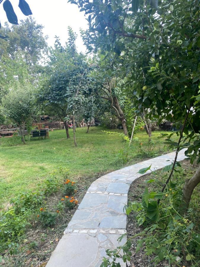 Xho'S Forest Guest House بيرات المظهر الخارجي الصورة