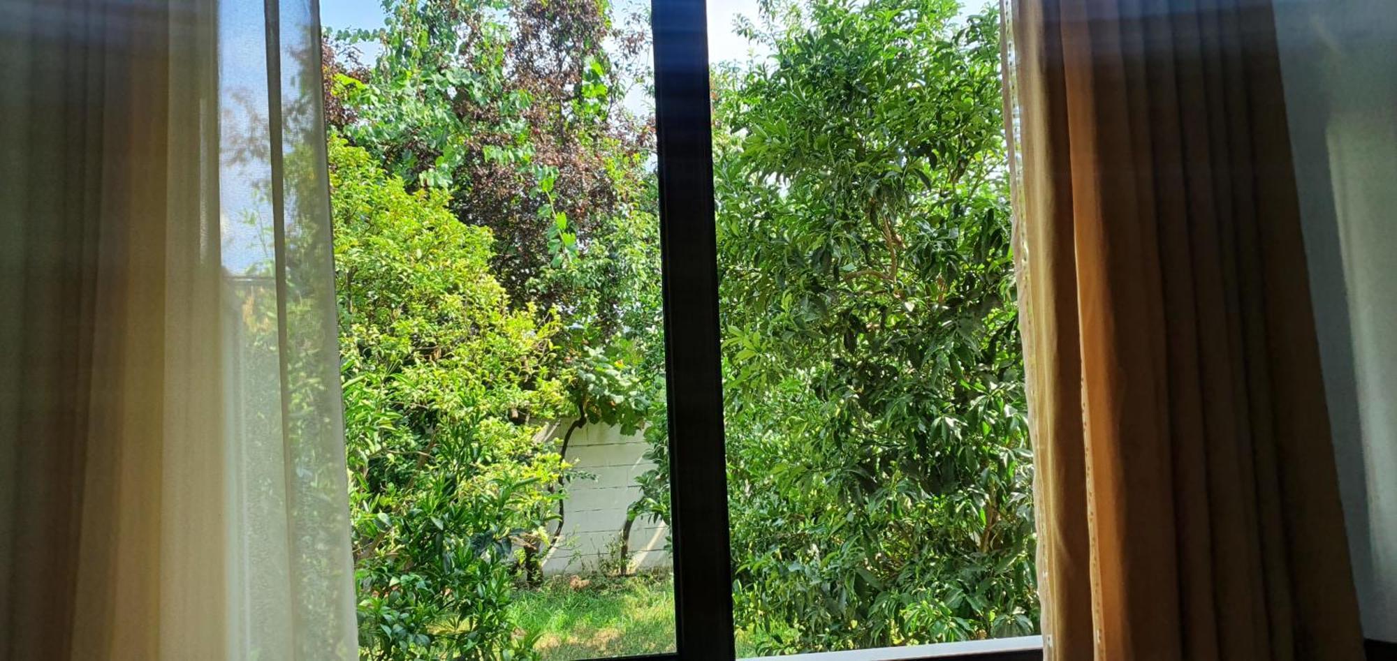 Xho'S Forest Guest House بيرات الغرفة الصورة